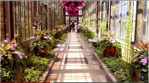 see the 7 best botanical gardens in the