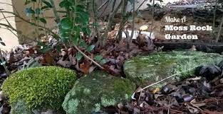 Beautiful Moss Landscaping Ideas