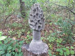 18 Cement Morel Mushroom Garden Art