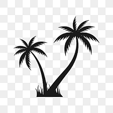 Palm Tree Png Palm Tree Leaves Vectors