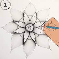 how to draw a flower a beginner s