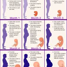 27 Weeks Pregnant Is How Many Months Chart Www