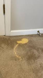 carpet dyeing exact spot matching