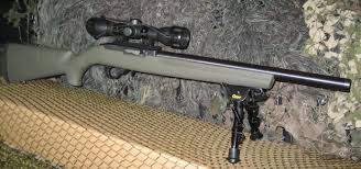od green ruger 10 22 with heavy thr