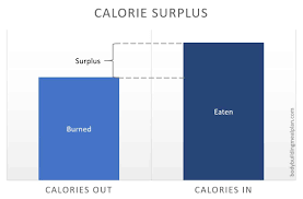calorie surplus for muscle gain