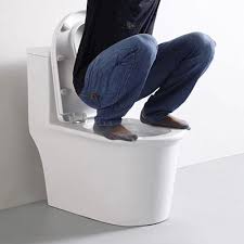 hybrid toilet wudumate