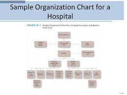 Organization Structure Sample Jasonkellyphoto Co