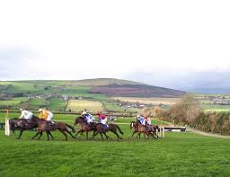 Search for property with the uk's leading resource. 97 Entries For Sunday S Tinahely Points Races Wexfordtoday Com