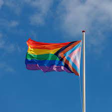 We welcome exhibitors who support our community to participate in this event. Pride Month 2021 June National Today