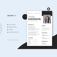 professional quality fresher resume by