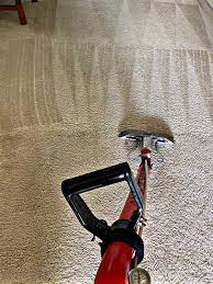 the 1 carpet cleaning in palmetto 5