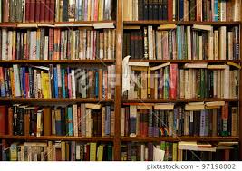 Bookshelves In Book Full Of Books