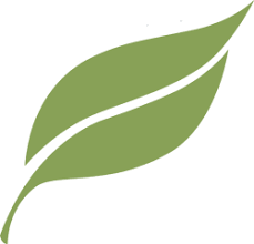 Image result for green leaf flourish