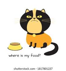 不満の猫と空の鉢と私の食べ物の場所を書いた文字のカード、空の鉢の前に餌を求める猫、おかしな漫画のキャラクター、ベクターイラスト」のベクター画像素材 （ロイヤリティフリー） 1817801237 | Shutterstock