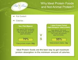 High Protein Diet Comparison Ideal Protein Program