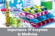 Image result for Enzymology