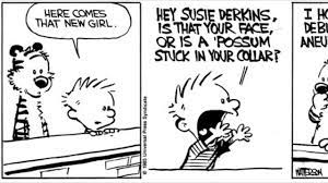 Calvin and hobbes susie