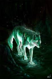 Check spelling or type a new query. Spirit Wolf Adopted Wolf Sacntuary Adoption For Wolves Open