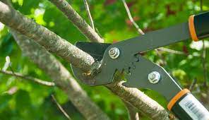 byp or anvil pruning loppers