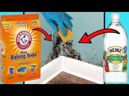 Diy Mould Remover 8 Ways To Get Rid