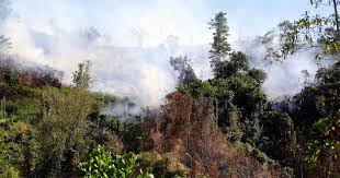 Berikut adalah sebahagian kronologi kejadian jerebu yang dilaporkan berlaku di malaysia : Pembakaran Terbuka Ketika Cuaca Panas Punca Jerebu Kata Metmalaysia Berita Projekmm
