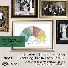 Treeseek Family Tree Wall Poster Fan Chart Large Colored