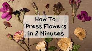 how to press flowers in 2 minutes in