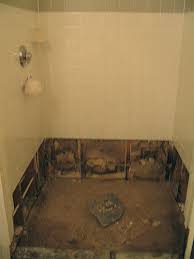 Black Mold In The Shower