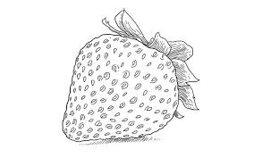 Of course, it doesn't always work. How To Draw A Strawberry Step By Step Sketchbooknation Com