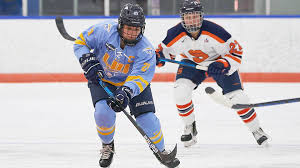 The largest coverage of online hockey video streams among all sites. Women S Ice Hockey Long Island University