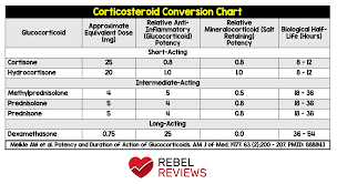 Rebel Review 46 Corticosteroid Conversion Chart