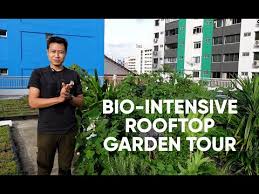 Singapore Hdb Rooftop Garden