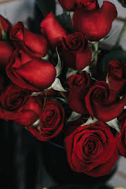 Daily so be sure to check back often. Red Roses Iphone Wallpaper The Most Romantic Sweet And Downright Dreamy Iphone Wallpapers For Valentine S Day Popsugar Tech Photo 18