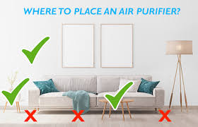 where to place air purifier 7 golden