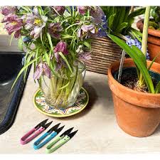 Gardening Supplies And Garden Gifts For