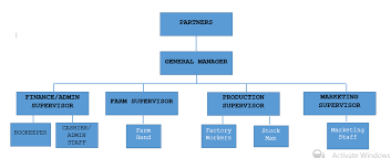 The Organizational Structure And The Management Of Cc