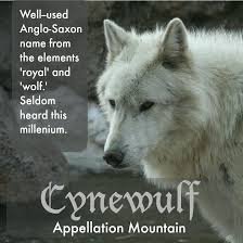 cynewulf baby name of the day