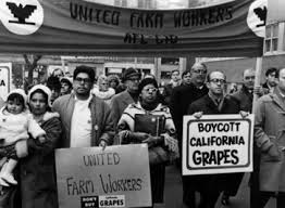 California Grape Boycott - Si, Se Puede: Call for Farm Workers' Rights