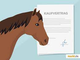 Für den pferdekaufvertrag ist die schriftliche form nicht gesetzlich vorgeschrieben. Kaufvertrage Fur Pferde Markt De