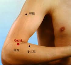 Image result for Quchi acupoint