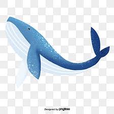 cartoon whale png transpa images
