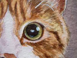 Painting A Cat My Slideshow Tutorial