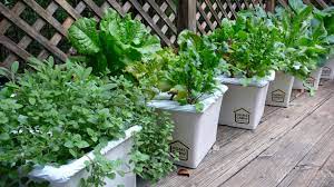 An Urban Micro Farm Delivered To Your