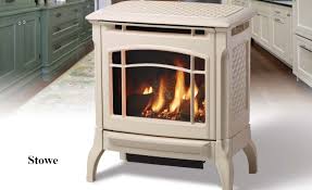 Gas Stoves Fireplace And Stove