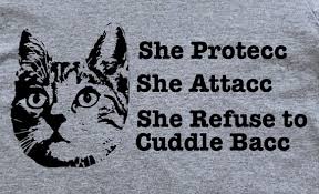 She Protecc She Attacc Funny Cat Meme Cat Lady T-shirt - Etsy