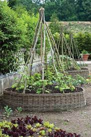 Arbors Trellises And The Edible