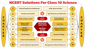 ncert solutions for cl 10 science