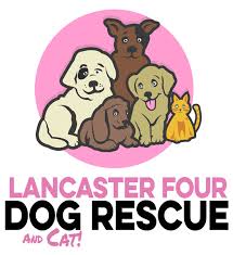 Tyr organizes your important records. Pets For Adoption At Lancaster Four Dog Rescue Inc In Portland Or Petfinder