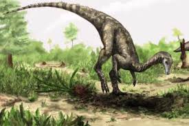 Nyasasaurus Parringtoni