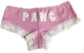 PAWG Cotton Panties with Lace (PinkWhite, Medium) at Amazon Women's  Clothing store